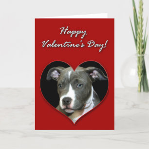 Carte de Pitbull puppy