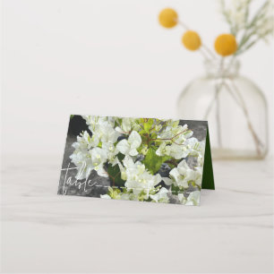 Carte De Placement bougainvilliers blancs ou carreaux blancs comme ne