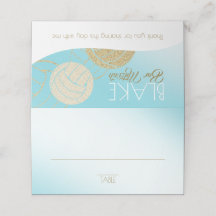 Carte de siège de volley-ball