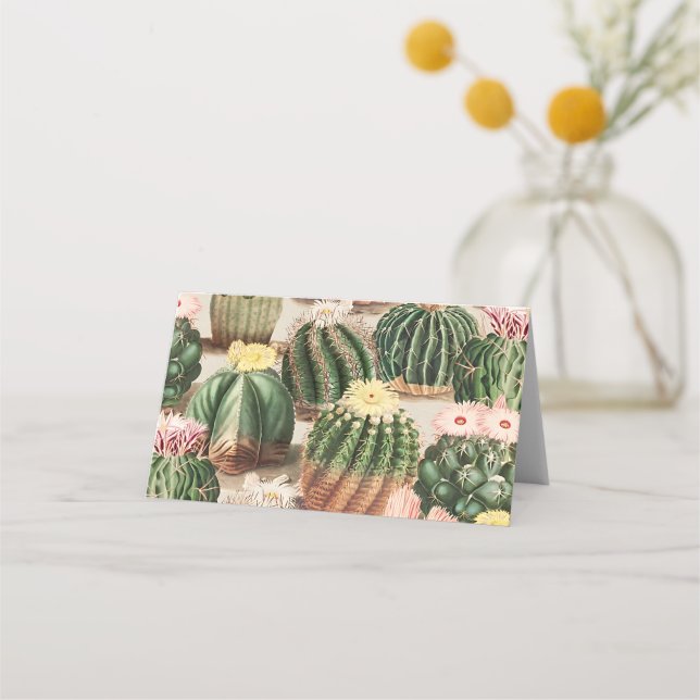 Carte De Placement Carte d'emplacement d'illustration Cactus (Devant)