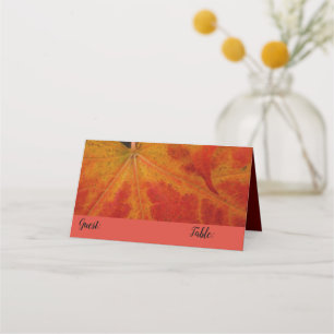 Carte De Placement Feuille de Érable Rouge Abstrait Photographie de l