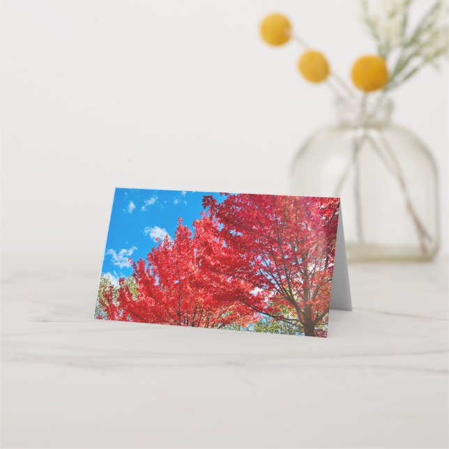 Carte De Placement Feuilles D'Arbre Rouge Lumineux En Automne (Devant)