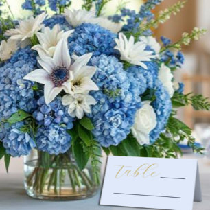 Carte De Placement Mariage bleu opulent