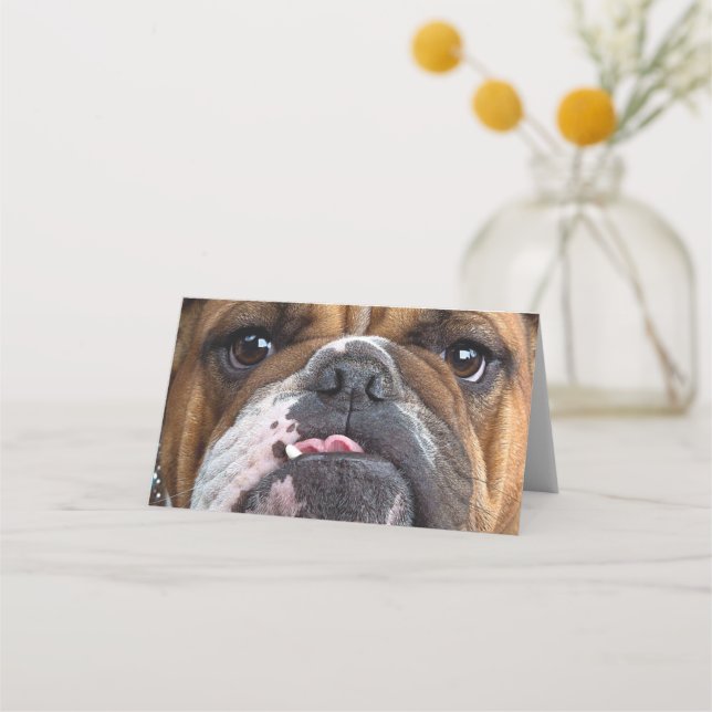 Carte De Placement Oreillers à lancer de Bulldog anglais (Devant)