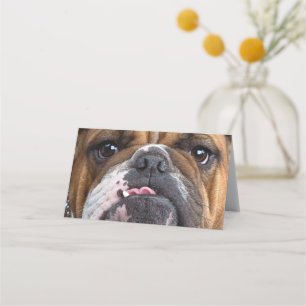 Carte De Placement Oreillers à lancer de Bulldog anglais