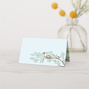 Carte De Placement Robin Oiseaux Nid Oeufs Baby shower de printemps
