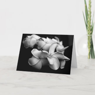 Carte de Plumeria