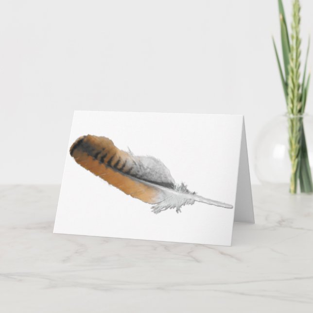 Carte de plumes à queue rouge Hawk (Devant)