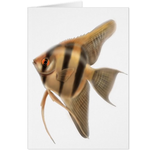 Carte de poisson-ange d'eau douce (Devant)