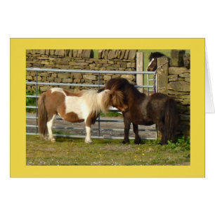 Carte de poneys de Shetland