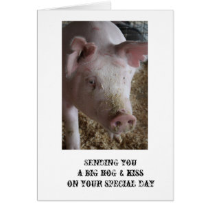 Carte de porc et de baiser de porc