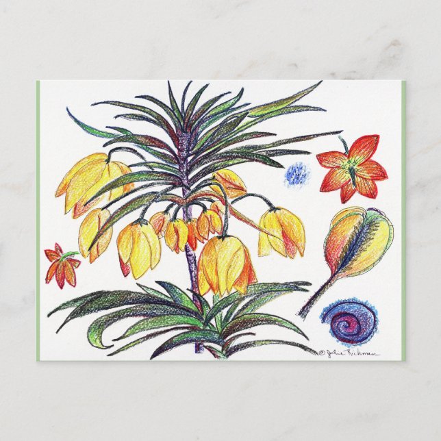 Carte de poste de dessin de fleurs botaniques Abst (Devant)