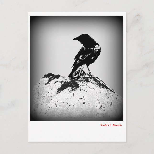 Carte de poste du corbeau (Devant)
