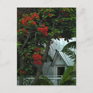 Carte de poste KeyWest Tin Room