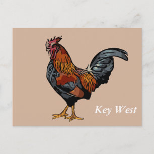 Carte de poste West Brown Roster Key