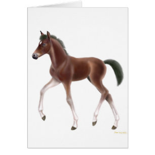 Carte de poulain de trot