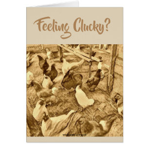 CARTE DE POULETS DE CLUCKY