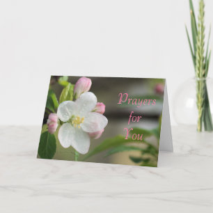 Carte de prière Apple Blossom - ou pour toute occa