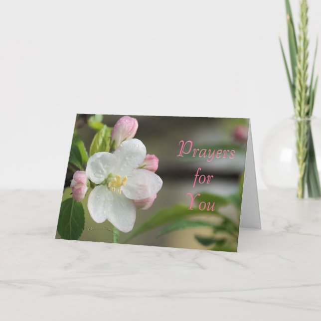 Carte de prière de fleur de pommier - ou pour tout (Devant)
