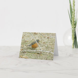 Carte de printemps Robin Harbinger