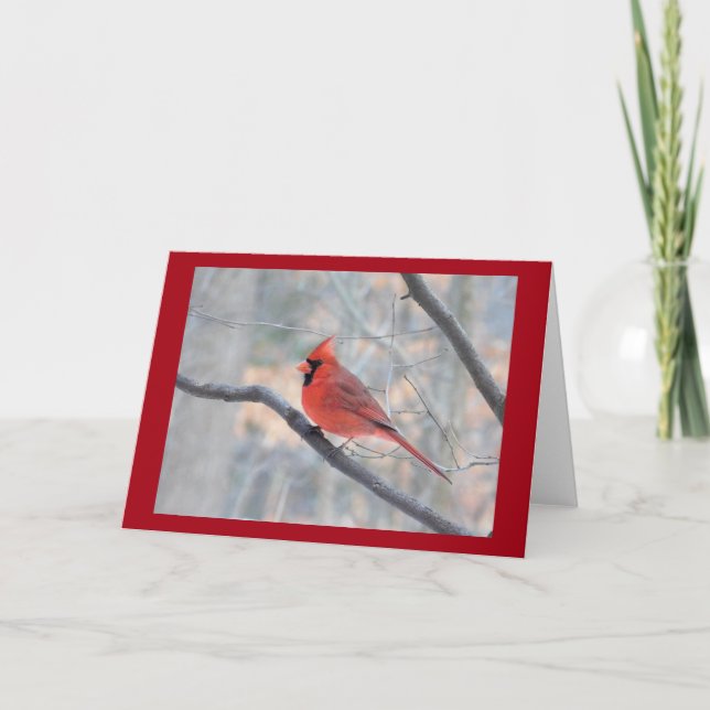 Carte de profil Cardinal Rouge (Devant)