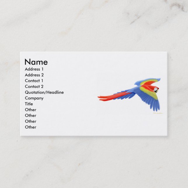 Carte de profil d'ara d'écarlate (Devant)