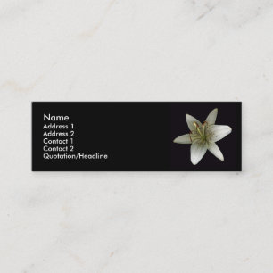 Carte de profil d'astronome