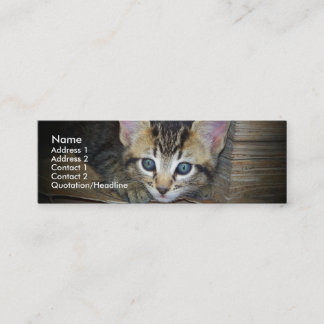 Carte de profil de chaton