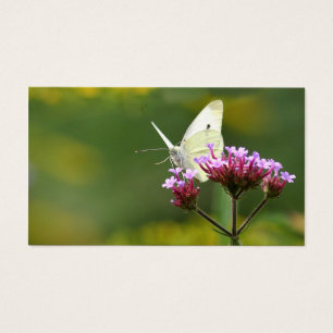Carte de profil de papillon