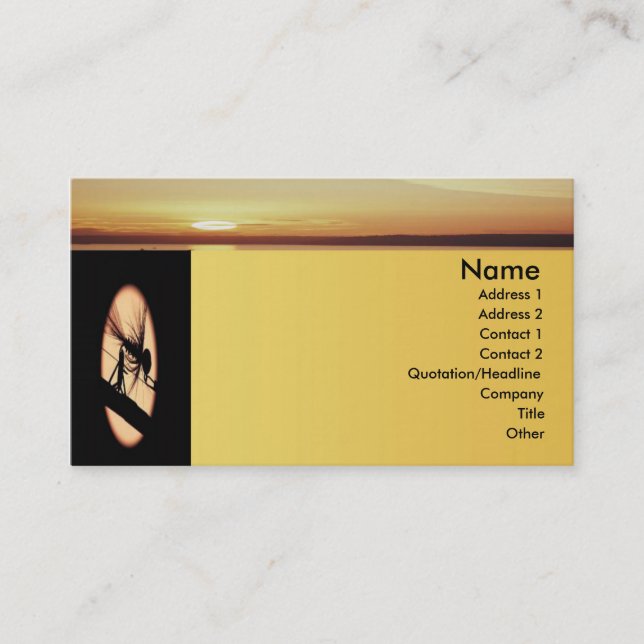Carte de profil de pêche terminée (Devant)