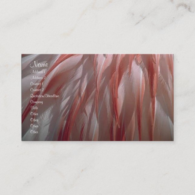Carte de profil de plumes (Devant)