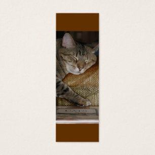 Carte de profil de sommeil de Kitty