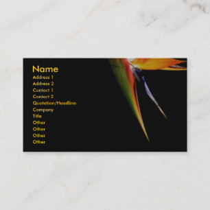 Carte de profil d'oiseaux de paradis