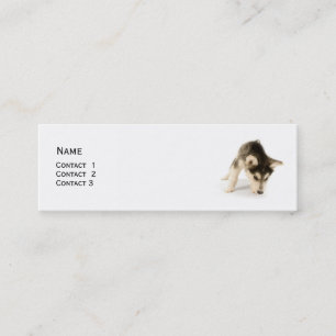 Carte de profil Husky Puppy