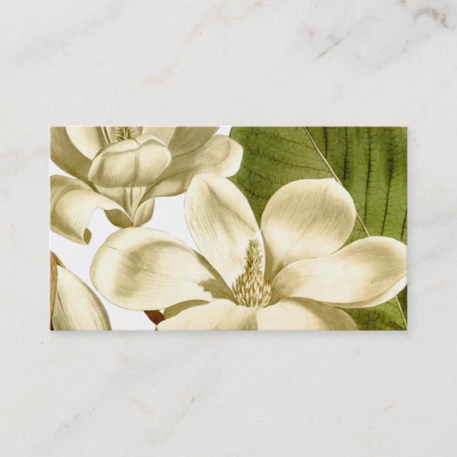 Carte de profil Magnolia (Devant)