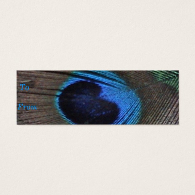 Carte de profil Peacock Feather (Devant)