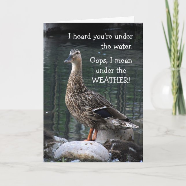 Carte de puits pour le canard confus (Devant)