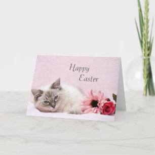 Carte de Ragdoll Pâques