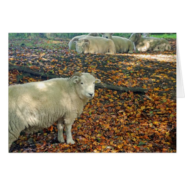 Carte de RAM (Devant horizontal)