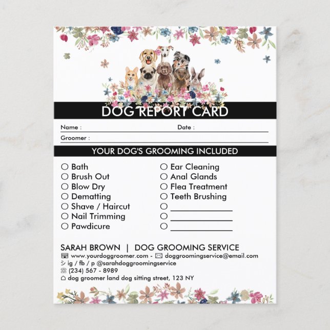 Carte de rapport du préparateur de chien blanc noi (Devant)