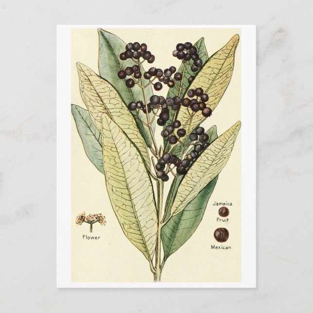 Carte de recette au poivre vintage (Devant)