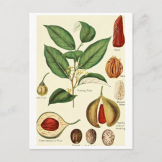 Carte de recette de carte postale de l'illustratio