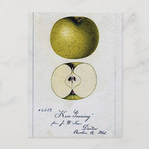 Carte de recettes Apple vintage