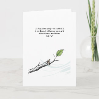 Carte de réconfort Job 14:7 Espoir pour un Arbre
