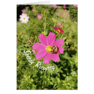 Carte de récupération rapide Vivid rose Cosmos Flo