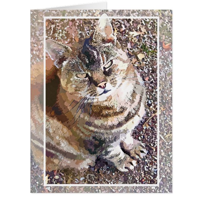 CARTE DE RÉDACTION DE TABBY CAT (Devant)
