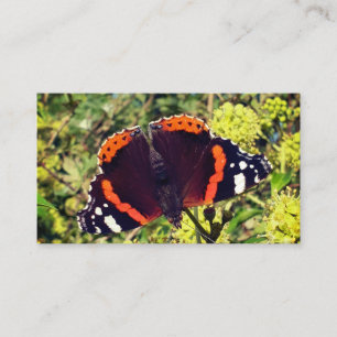 Carte De Réduction Amiral rouge rare papillon et une abeille dans