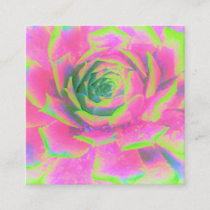 Carte De Réduction Rosette Succulente à la chaux verte et rose