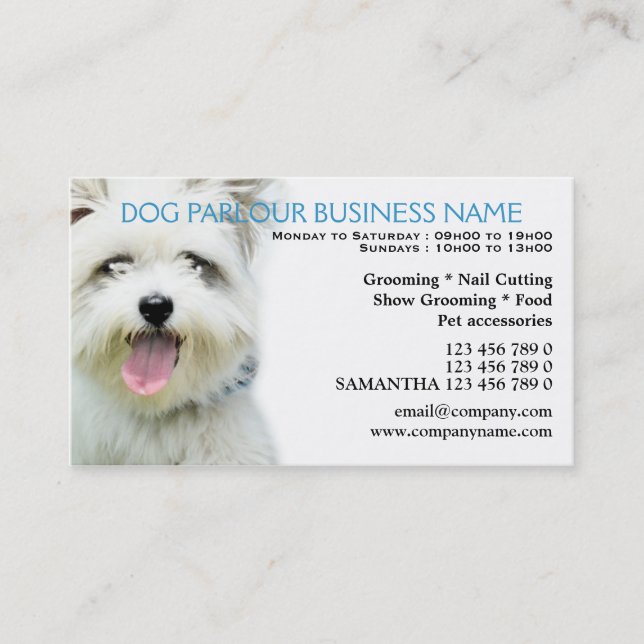 Carte De Réduction Soin des animaux familiers de salon de chien (Devant)
