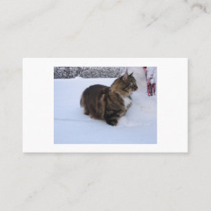 Carte De Référencement chat des forêts norvégiennes dans la neige